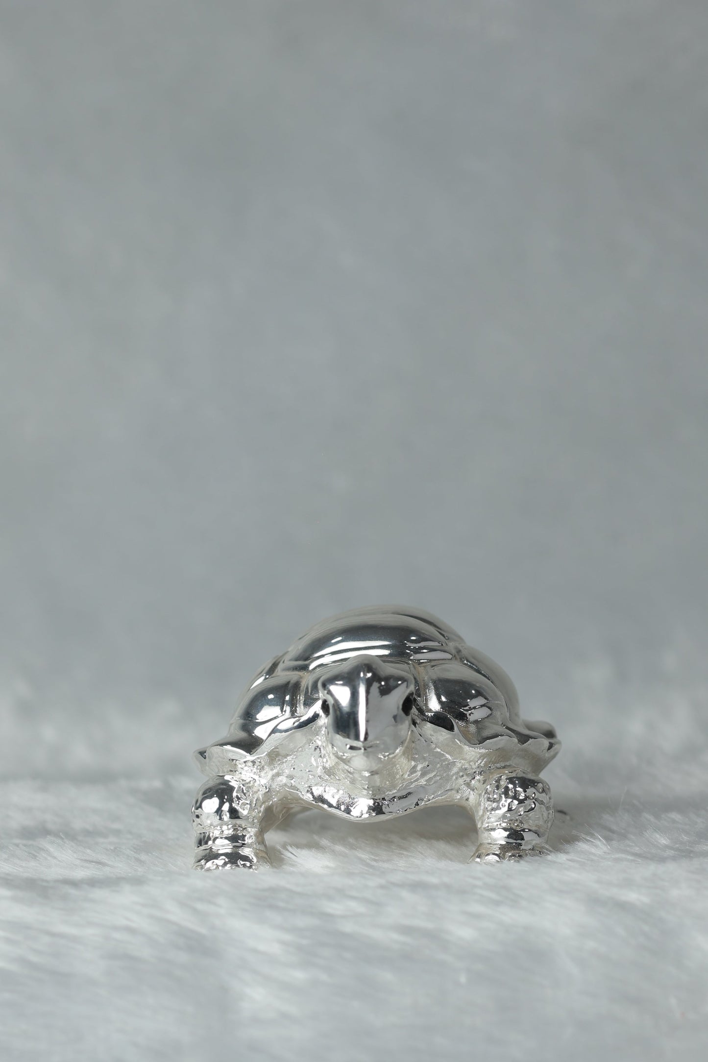 Silver plated Tortoise