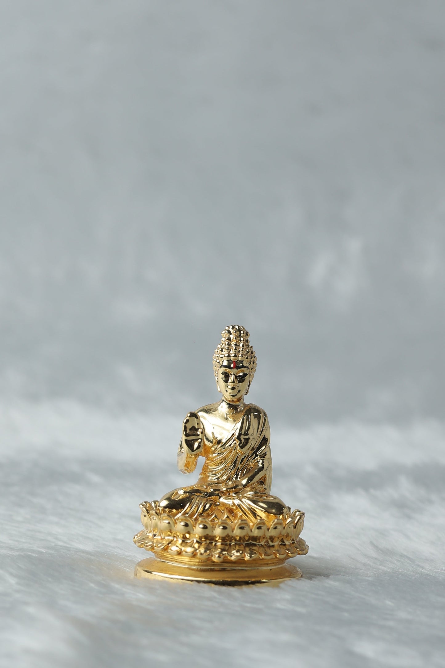 Gold plated Buddha Ji